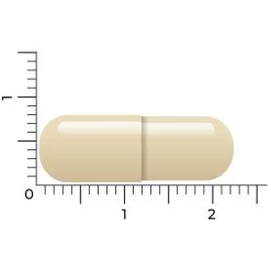 Vitakruid Geheugenformule 10 Vitakruid Geheugenformule -Gezondheid Verkoop 1023998 4