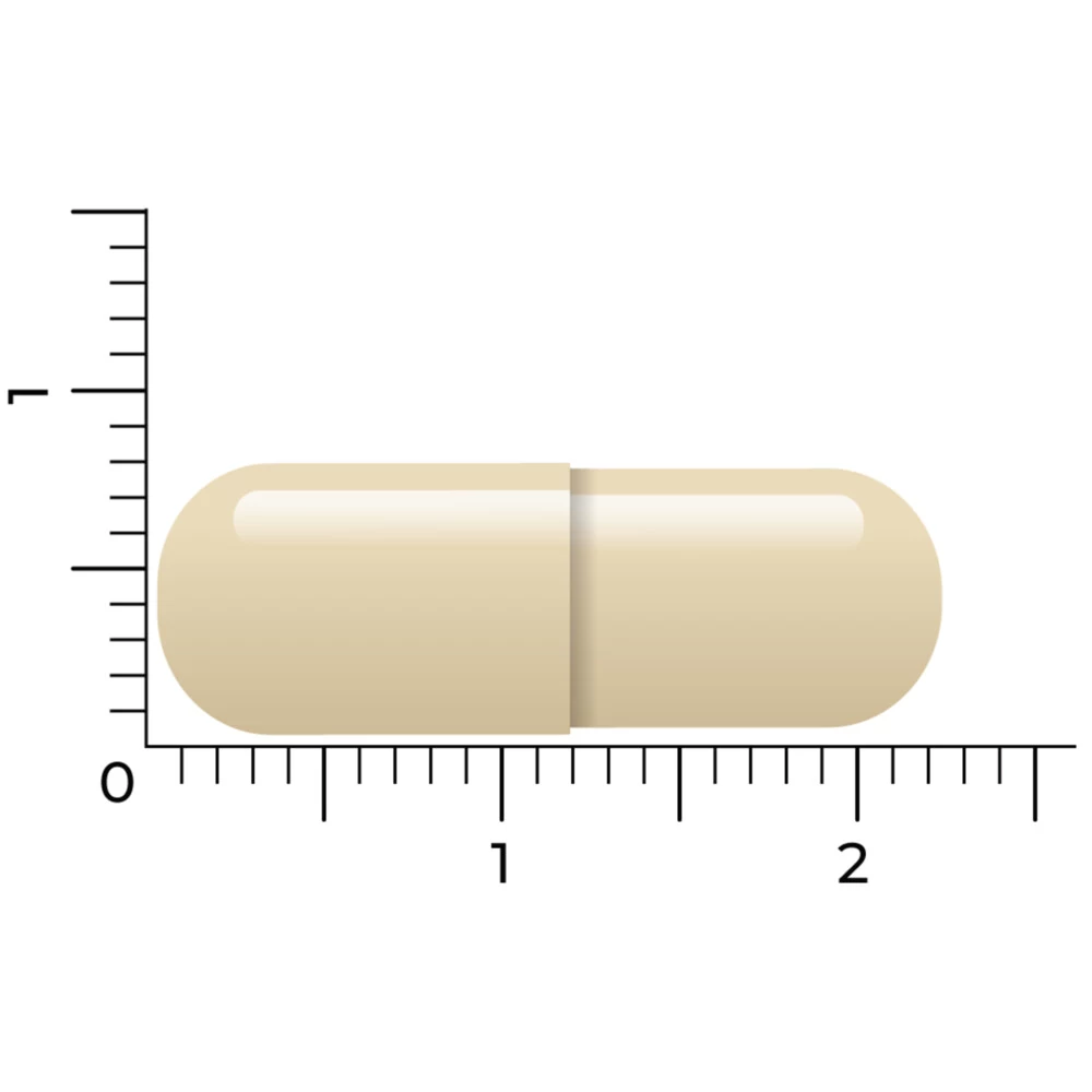 Vitakruid Geheugenformule 6 Vitakruid Geheugenformule - Afbeelding 4
