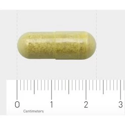 AOV 816 Quercetine-extract (500 Mg) -Gezondheid Verkoop 1030206 4