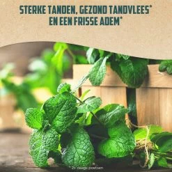 12x Aquafresh Naturals Mint Clean -Gezondheid Verkoop 1052131 4