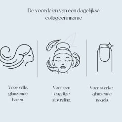 Premium Collageen Hydrolysaat Poeder Met Vitamine C Aardbeismaak 9 Premium Collageen Hydrolysaat Poeder Met Vitamine C Aardbeismaak -Gezondheid Verkoop 1055227 4