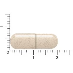 Vitakruid Ashwagandha Ksm -Gezondheid Verkoop 1057979 5