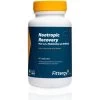 Fittergy Supplements Nootropic Recovery Vitamine B1 & B6 -Gezondheid Verkoop 1066919