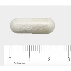 Orthica L-Lysine-500 9 Orthica L-Lysine-500 -Gezondheid Verkoop 706324 4