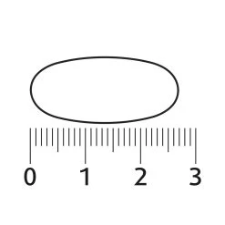 Lucovitaal Super Visolie Omega 3 -Gezondheid Verkoop 732088 3