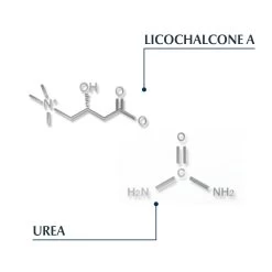 Eucerin Hoofdhuidbehandeling Dermocapillaire -Gezondheid Verkoop 888253 4