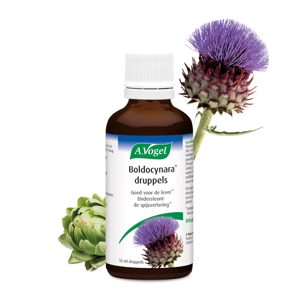 2x A.Vogel Boldocynara Druppels 4 2x A.Vogel Boldocynara Druppels - Afbeelding 2