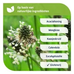 Natterman Voor Alle Hoest Hoestdrank -Gezondheid Verkoop 974964 4