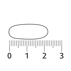 Lucovitaal Geheugen & Concentratie -Gezondheid Verkoop 997138 4